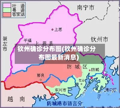 钦州确诊分布图(钦州确诊分布图最新消息)-第2张图片