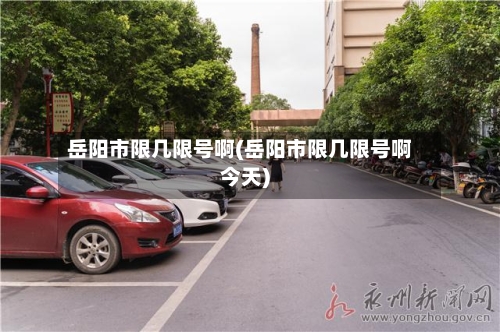 岳阳市限几限号啊(岳阳市限几限号啊今天)