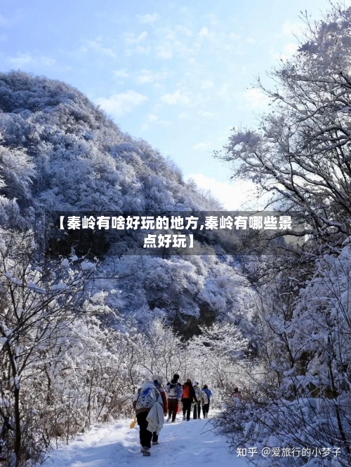 【秦岭有啥好玩的地方,秦岭有哪些景点好玩】-第2张图片