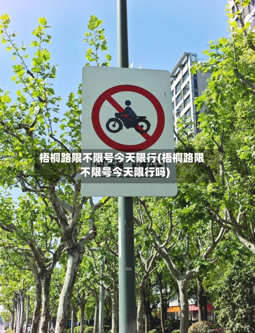梧桐路限不限号今天限行(梧桐路限不限号今天限行吗)-第3张图片