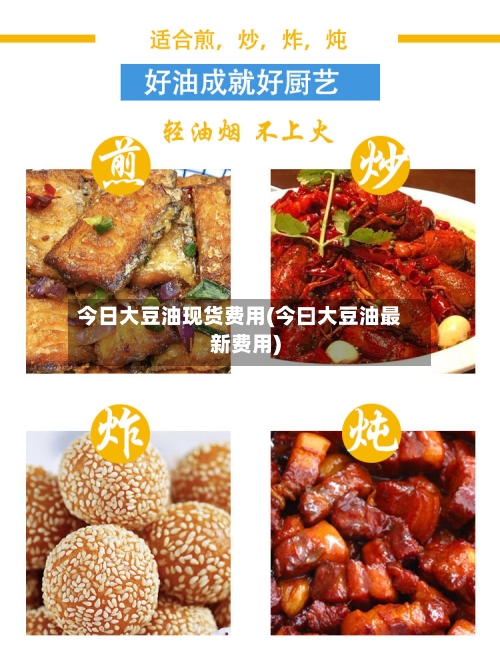 今日大豆油现货费用(今曰大豆油最新费用)