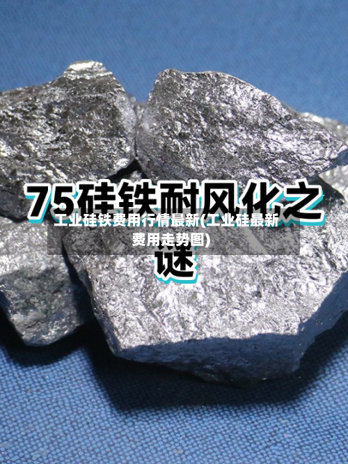 工业硅铁费用行情最新(工业硅最新费用走势图)-第2张图片