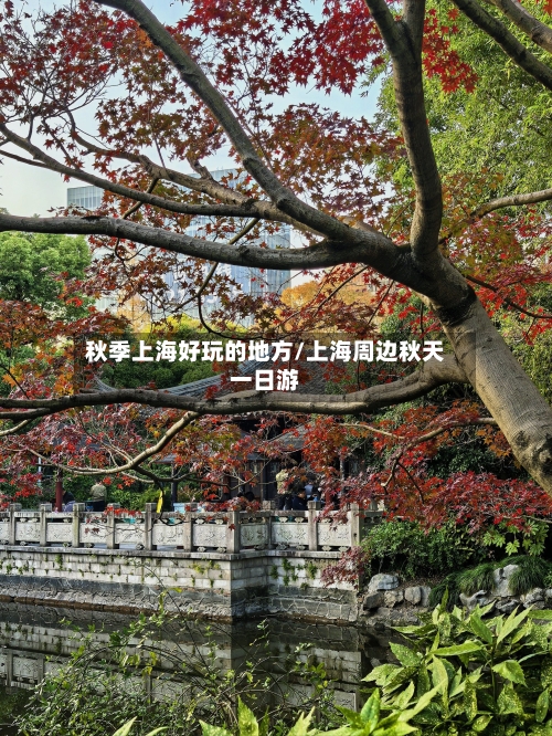 秋季上海好玩的地方/上海周边秋天一日游