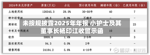 未按规披露2025年年报 小护士及其董事长杨印江收警示函-第2张图片