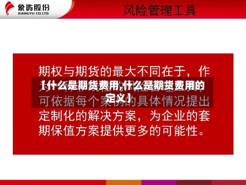 【什么是期货费用,什么是期货费用的定义】-第3张图片