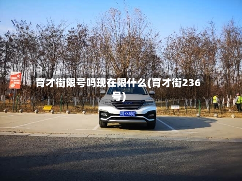 育才街限号吗现在限什么(育才街236号)