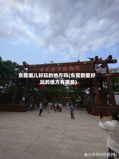 东莞哪儿好玩的地方吗(东莞那里好玩的地方有哪些)