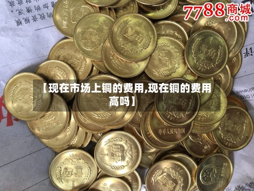 【现在市场上铜的费用,现在铜的费用高吗】-第2张图片