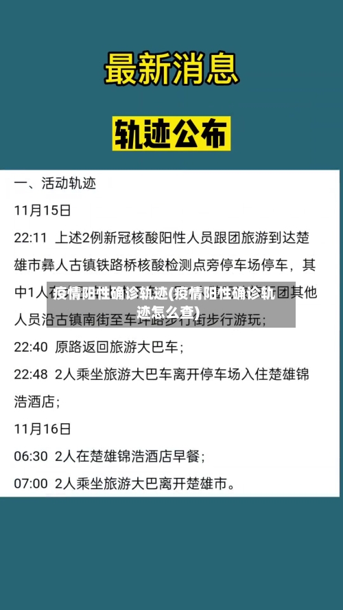 疫情阳性确诊轨迹(疫情阳性确诊轨迹怎么查)