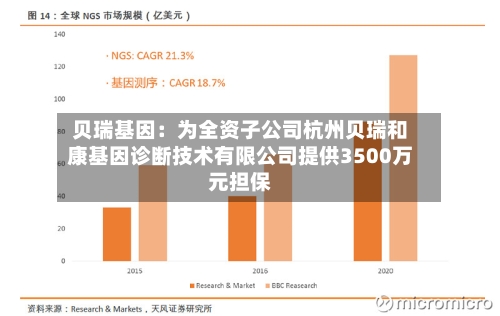 贝瑞基因：为全资子公司杭州贝瑞和康基因诊断技术有限公司提供3500万元担保-第3张图片
