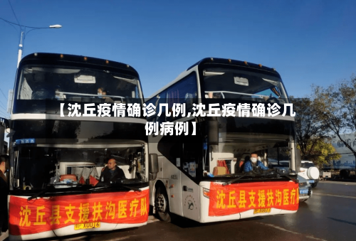 【沈丘疫情确诊几例,沈丘疫情确诊几例病例】