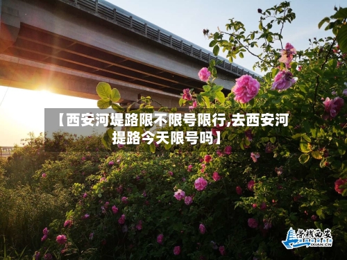 【西安河堤路限不限号限行,去西安河提路今天限号吗】-第2张图片