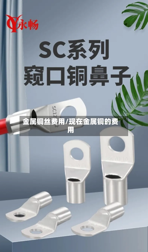 金属铜丝费用/现在金属铜的费用-第2张图片