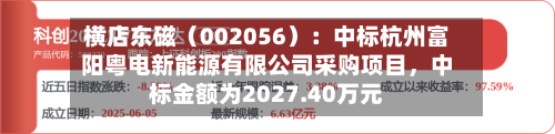 横店东磁（002056）：中标杭州富阳粤电新能源有限公司采购项目，中标金额为2027.40万元-第2张图片
