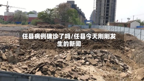 任县病例确诊了吗/任县今天刚刚发生的新闻-第2张图片