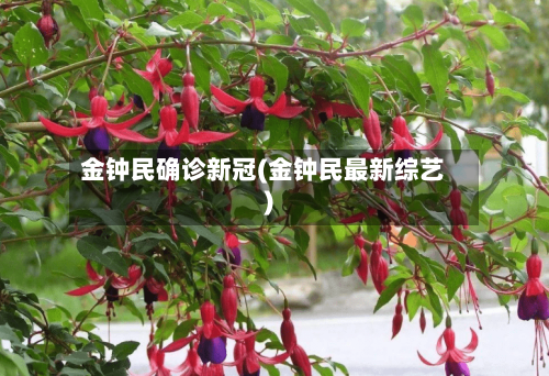金钟民确诊新冠(金钟民最新综艺)