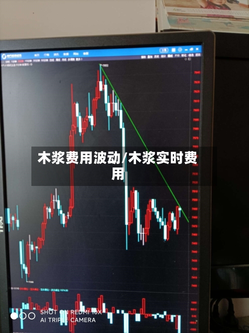木浆费用波动/木浆实时费用