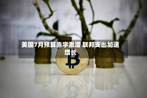 美国7月预算赤字激增 联邦支出加速增长-第2张图片
