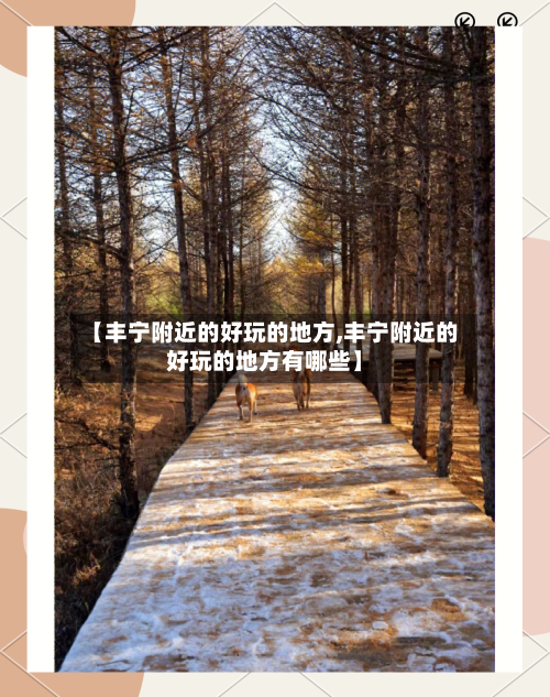 【丰宁附近的好玩的地方,丰宁附近的好玩的地方有哪些】