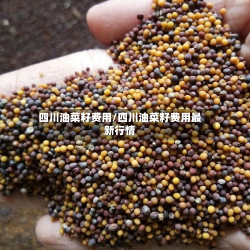 四川油菜籽费用/四川油菜籽费用最新行情