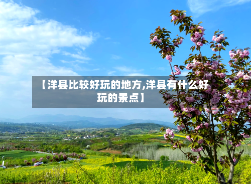 【洋县比较好玩的地方,洋县有什么好玩的景点】