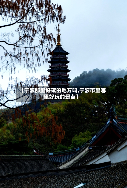 【宁波那里好玩的地方吗,宁波市里哪里好玩的景点】
