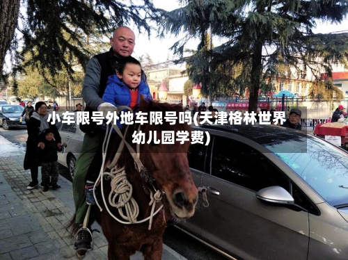 小车限号外地车限号吗(天津格林世界幼儿园学费)-第3张图片