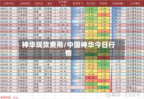 神华现货费用/中国神华今日行情