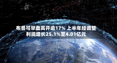 布鲁可早盘高开逾17% 上半年经调整利润增长25.1%至4.01亿元-第3张图片