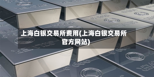 上海白银交易所费用(上海白银交易所官方网站)-第2张图片