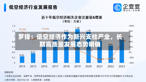 罗锋：低空经济作为新兴支柱产业，长期高质量发展态势明确-第3张图片