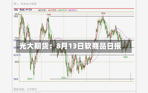 光大期货：8月13日软商品日报-第1张图片