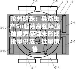 沧州明珠：具备生产5u超薄高强隔膜的能力 近来该类产品尚未形成批量供应、批量销售-第2张图片