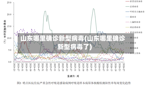 山东哪里确诊新型病毒(山东哪里确诊新型病毒了)-第2张图片
