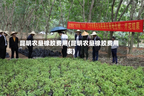 昆明农垦橡胶费用(昆明农垦橡胶费用表)-第2张图片