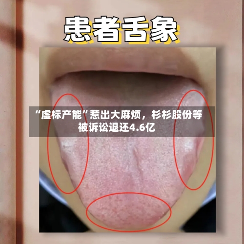 “虚标产能	”惹出大麻烦，杉杉股份等被诉讼退还4.6亿-第2张图片