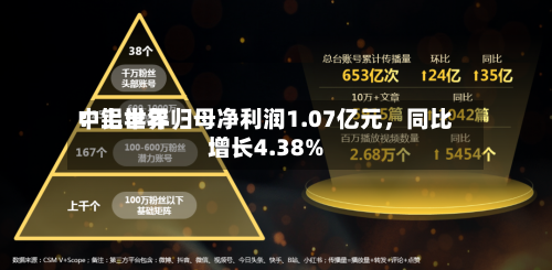 中铝世界：上半年归母净利润1.07亿元，同比增长4.38%