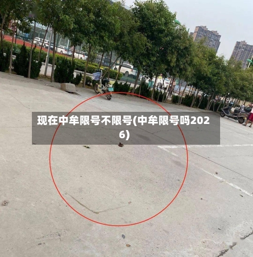 现在中牟限号不限号(中牟限号吗2026)-第2张图片