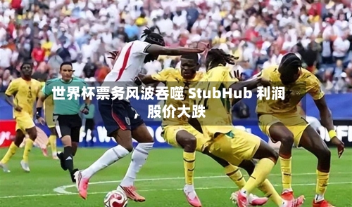 世界杯票务风波吞噬 StubHub 利润	，股价大跌-第3张图片