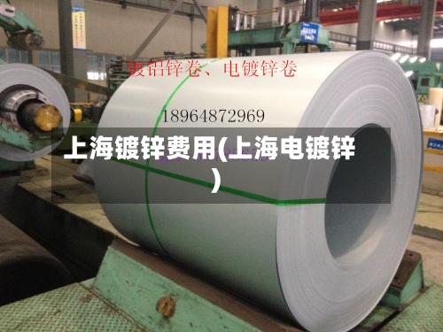 上海镀锌费用(上海电镀锌)