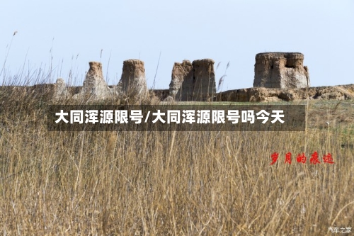 大同浑源限号/大同浑源限号吗今天-第3张图片