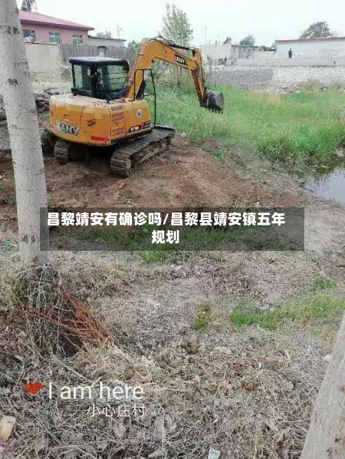 昌黎靖安有确诊吗/昌黎县靖安镇五年规划