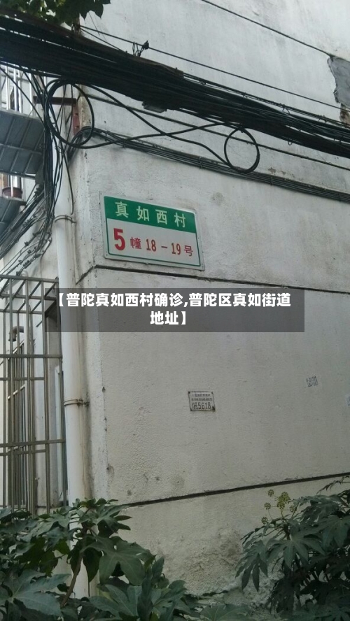 【普陀真如西村确诊,普陀区真如街道地址】-第3张图片