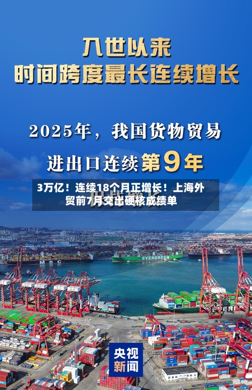 3万亿！连续18个月正增长！上海外贸前7月交出硬核成绩单