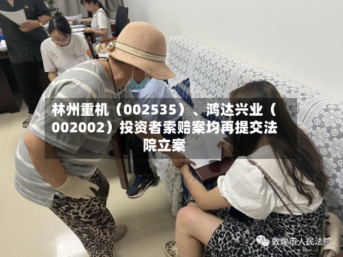 林州重机（002535）、鸿达兴业（002002）投资者索赔案均再提交法院立案-第3张图片