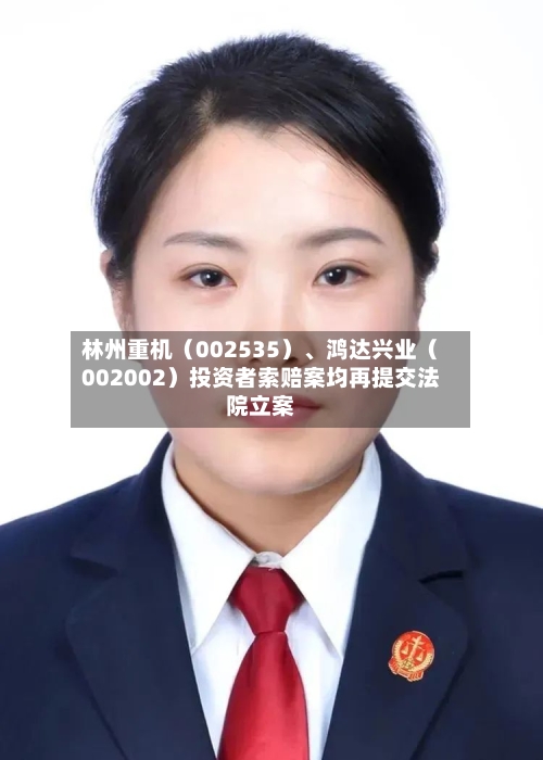 林州重机（002535）	、鸿达兴业（002002）投资者索赔案均再提交法院立案-第2张图片