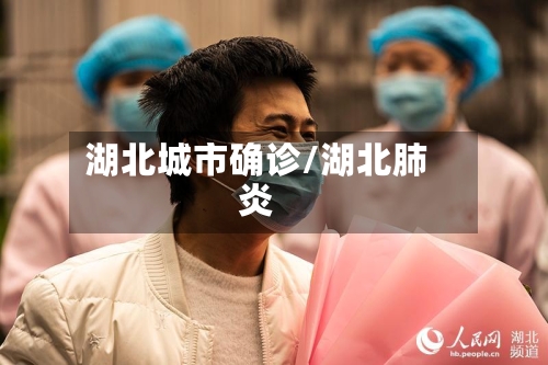湖北城市确诊/湖北肺炎