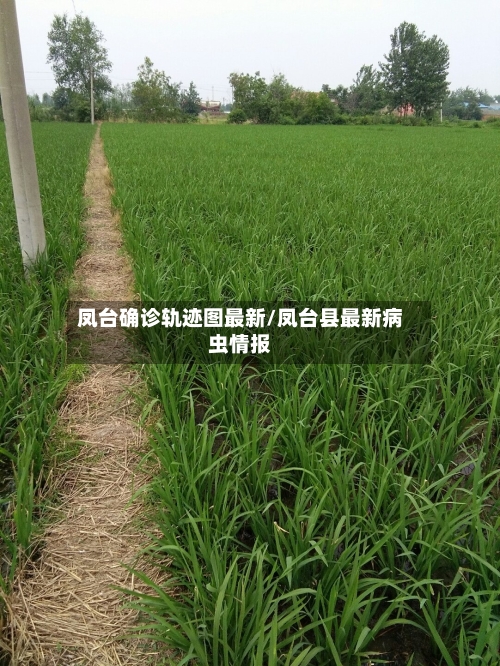 凤台确诊轨迹图最新/凤台县最新病虫情报-第3张图片
