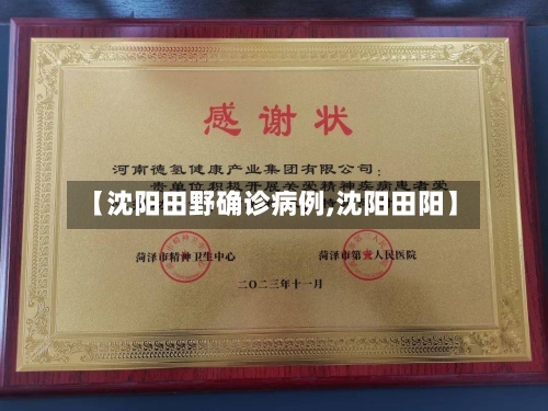 【沈阳田野确诊病例,沈阳田阳】-第2张图片