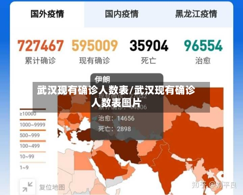 武汉现有确诊人数表/武汉现有确诊人数表图片-第3张图片